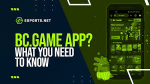 Explore the Exciting World of Bonus BC Fun 4