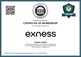 Mastering Trading with MetaTrader 4 Exness Limited VC A Comprehensive Guide