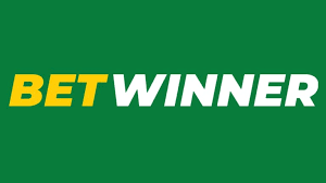 Understanding Betwinner Sports Odds A Comprehensive Guide