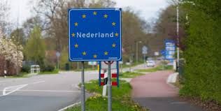Oude Koeienrassen van Nederland Geschiedenis en Behoud 410287301