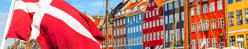 Professionel Service i Danmark Kvalitet og Ekspertise 33348691