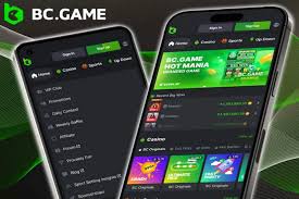 A Comprehensive Guide to the BC App 638229004