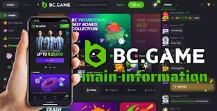 Discovering Working BC.Game Mirror Sites Your Guide to Enhanced Gaming Experience