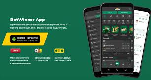 Exploring BetWinner Sportsbook Your Gateway to Sports Betting